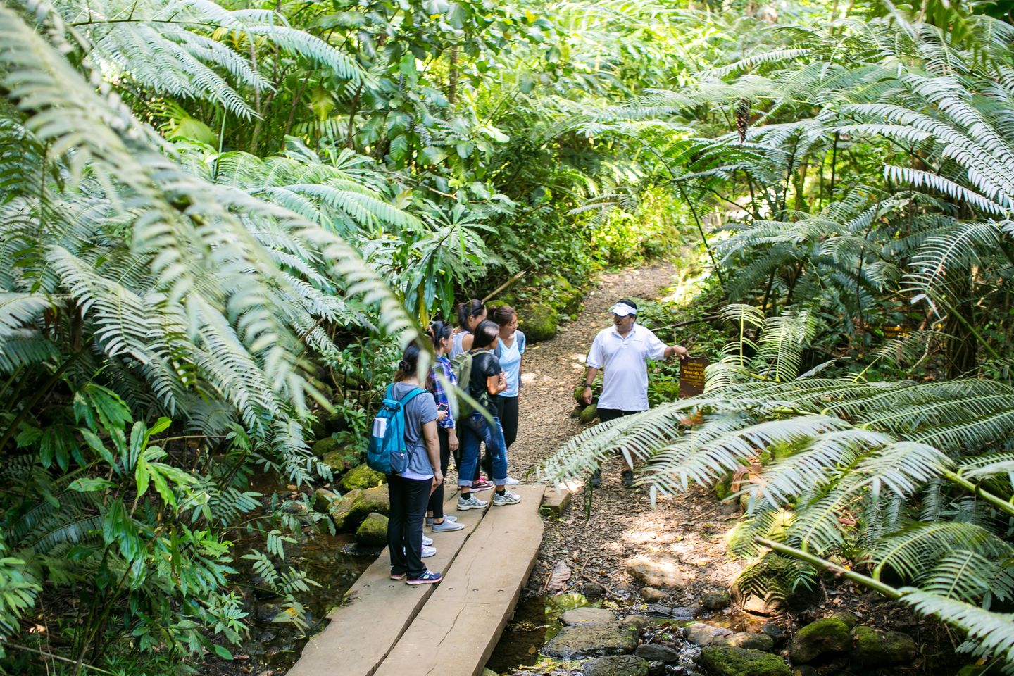 Group on hike