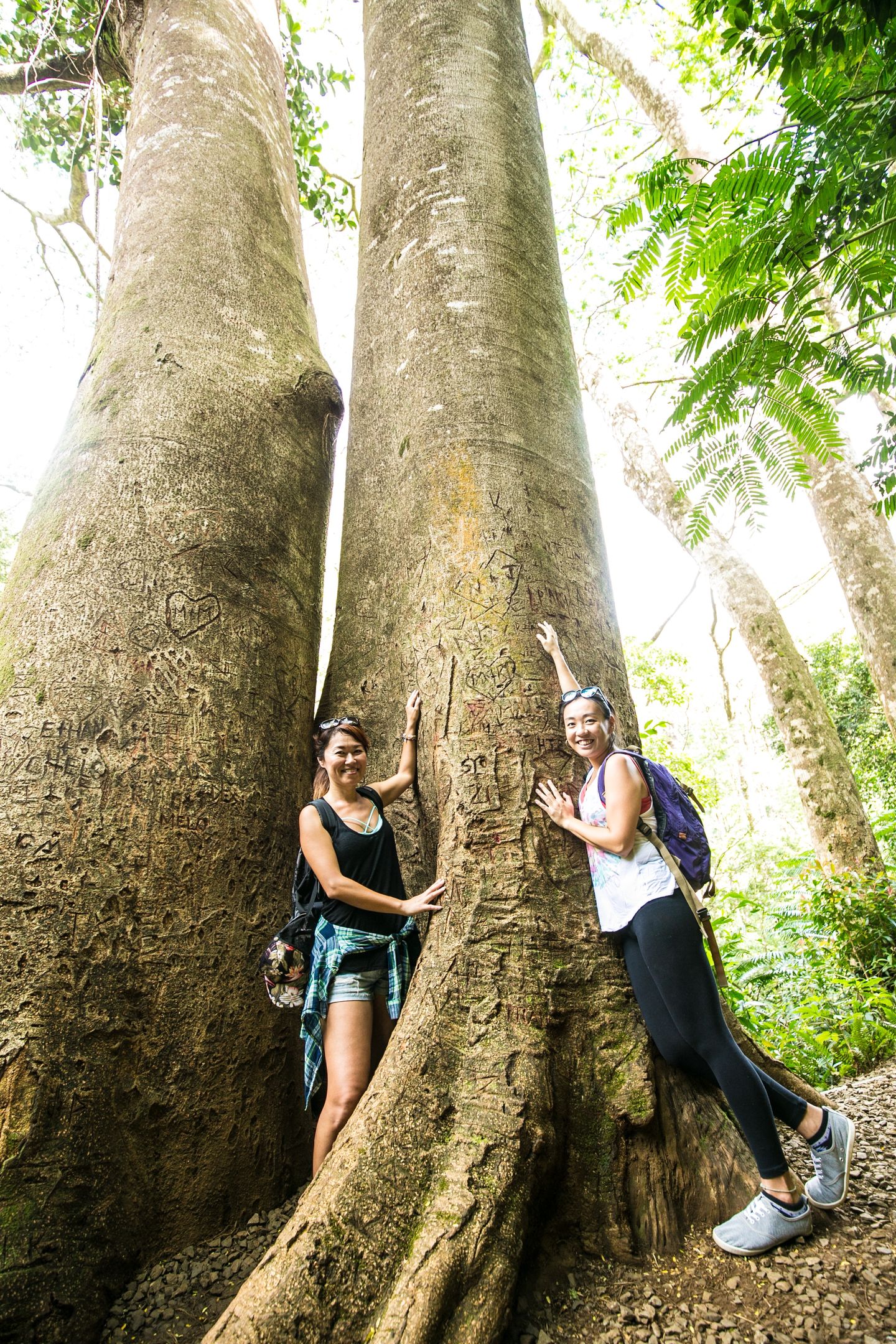 Two people with tree