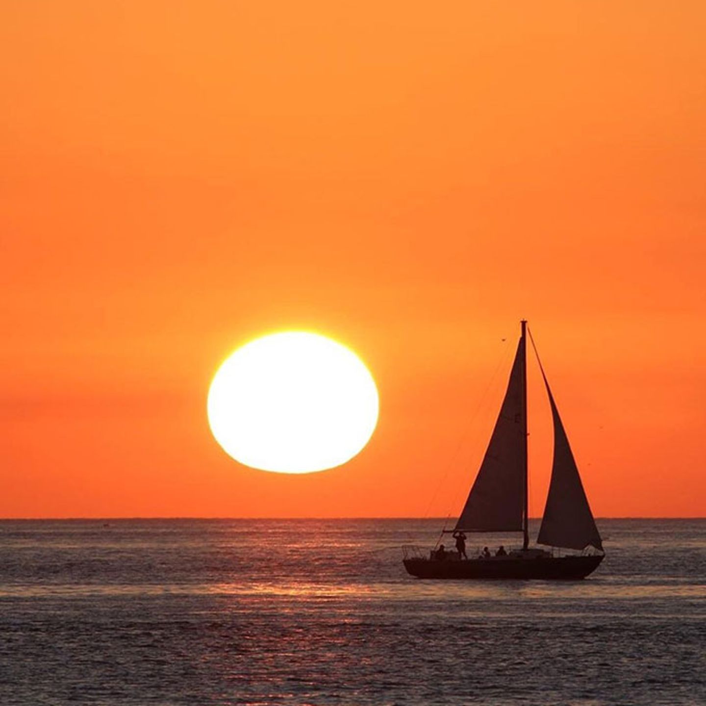 Sunset Sail