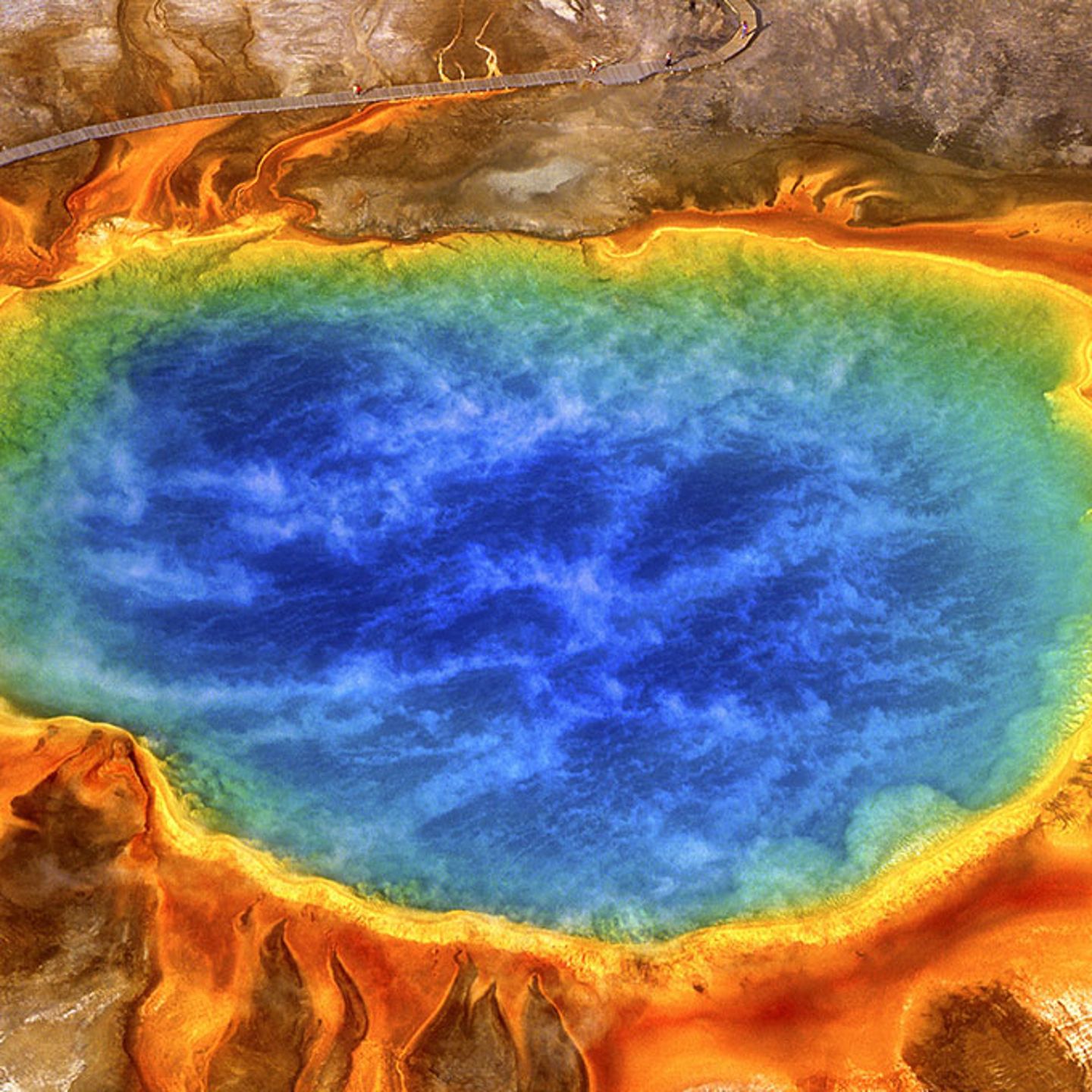 Summer Tour of Yellowstone