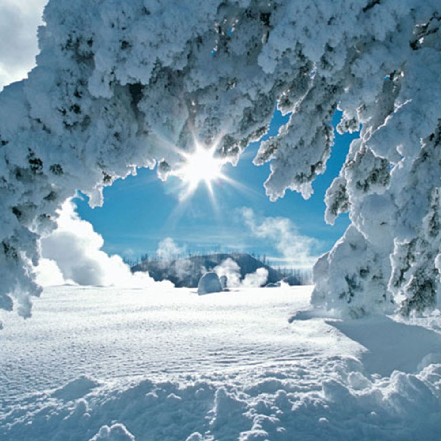 Snow at Yellowstone National Park