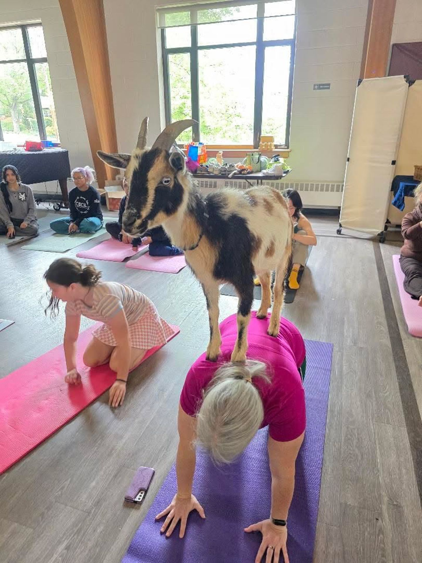 Yoga Class