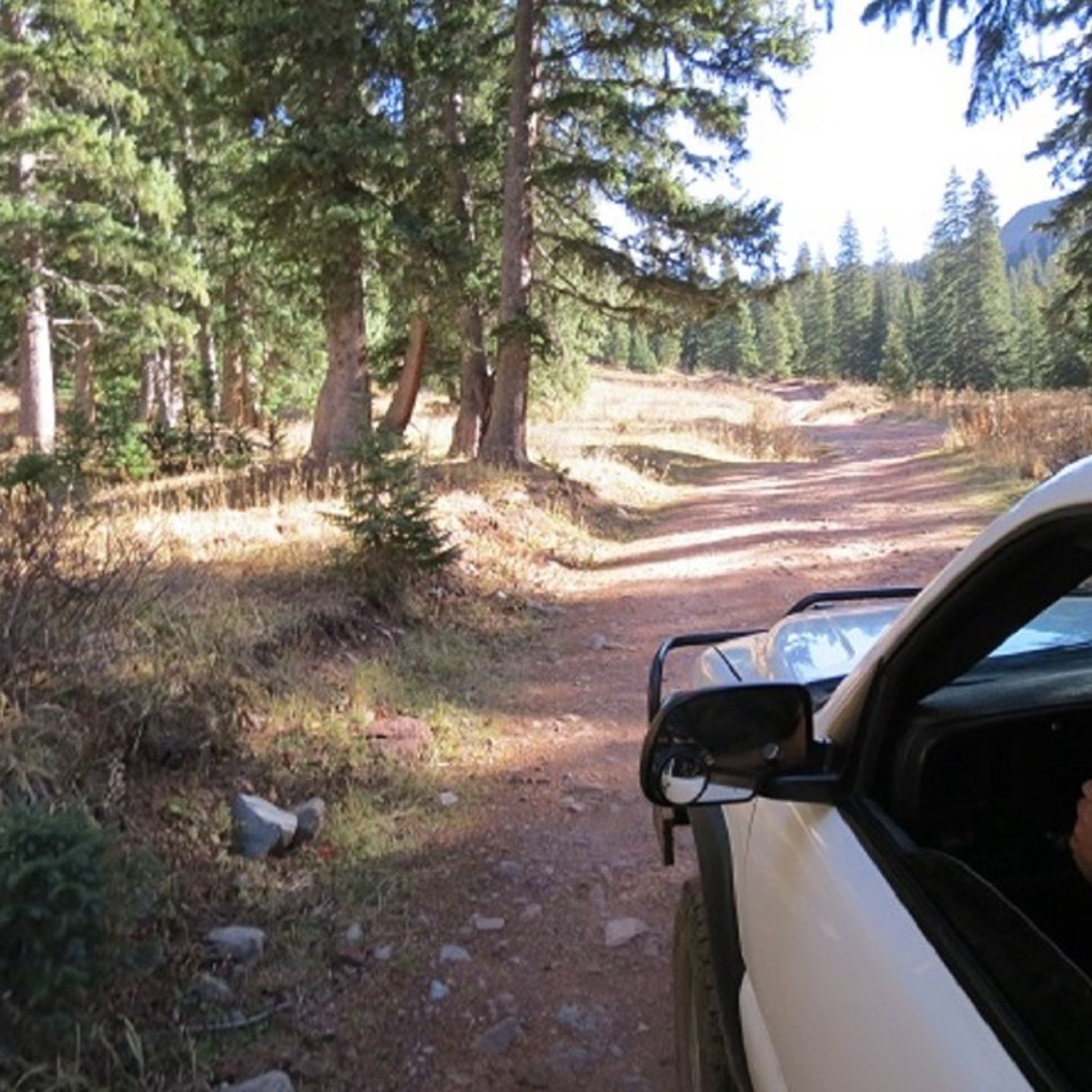 Jeep driving on road