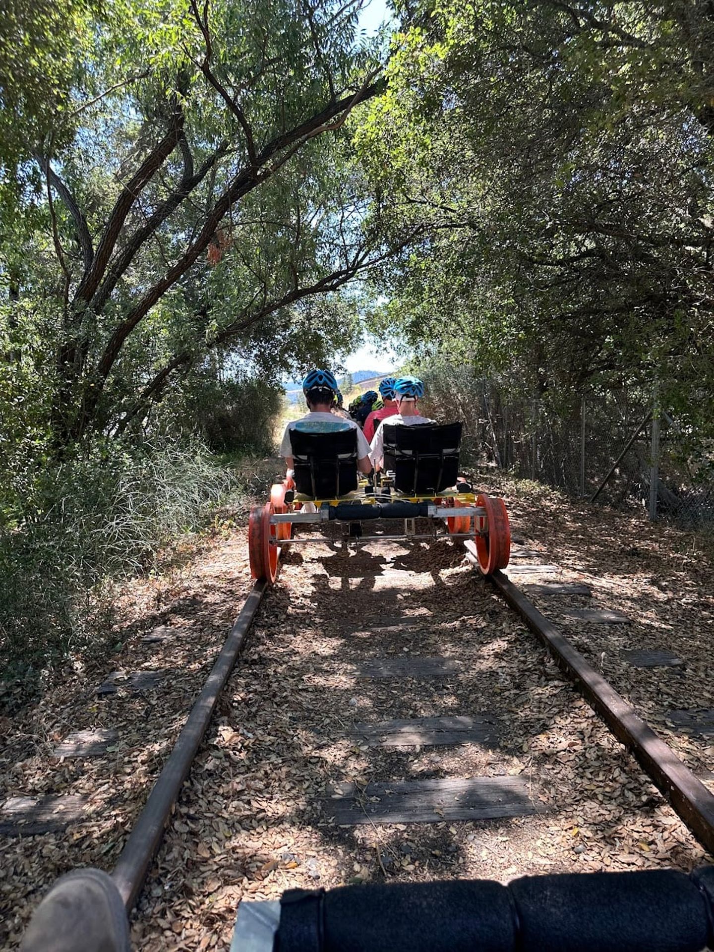 Behind shot of bikes