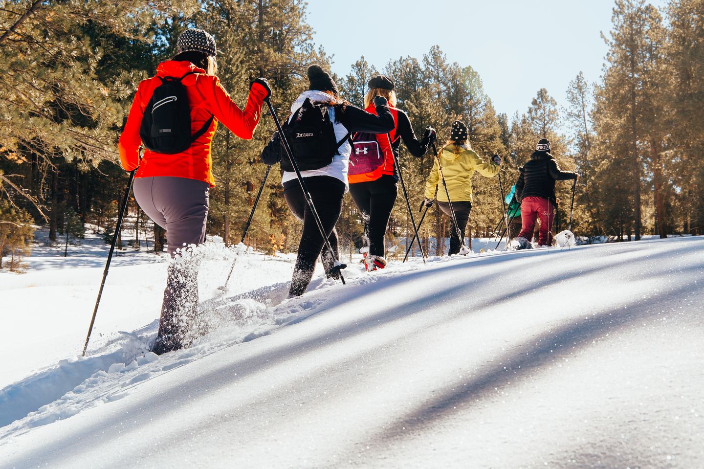 Snowshoeing in New Mexico