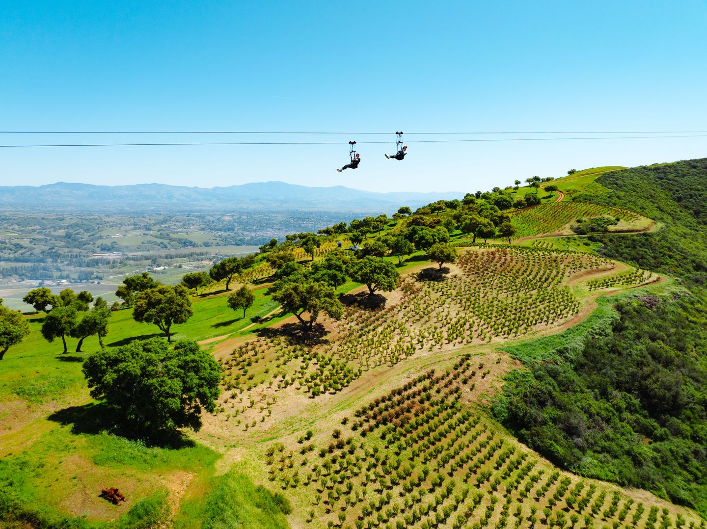 Zipliners over valley
