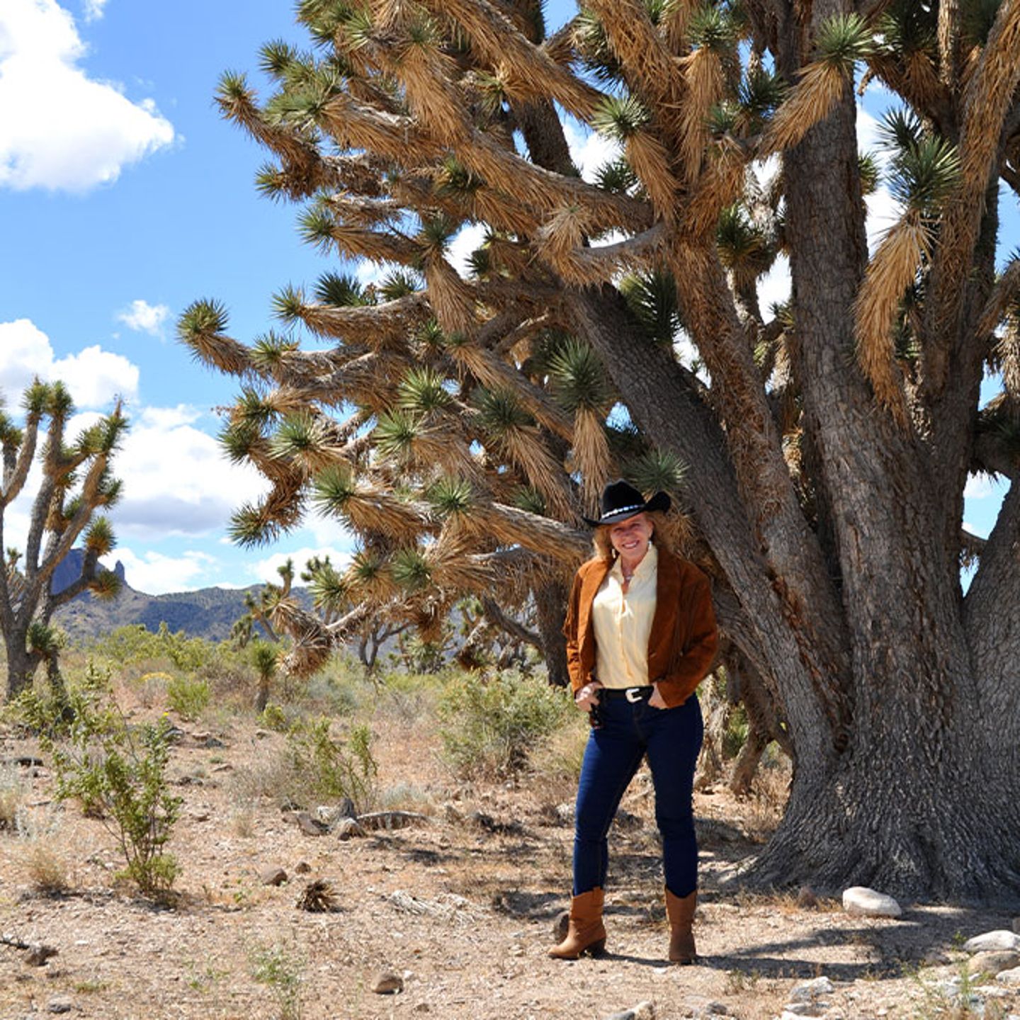 Joshua Tree on Tour