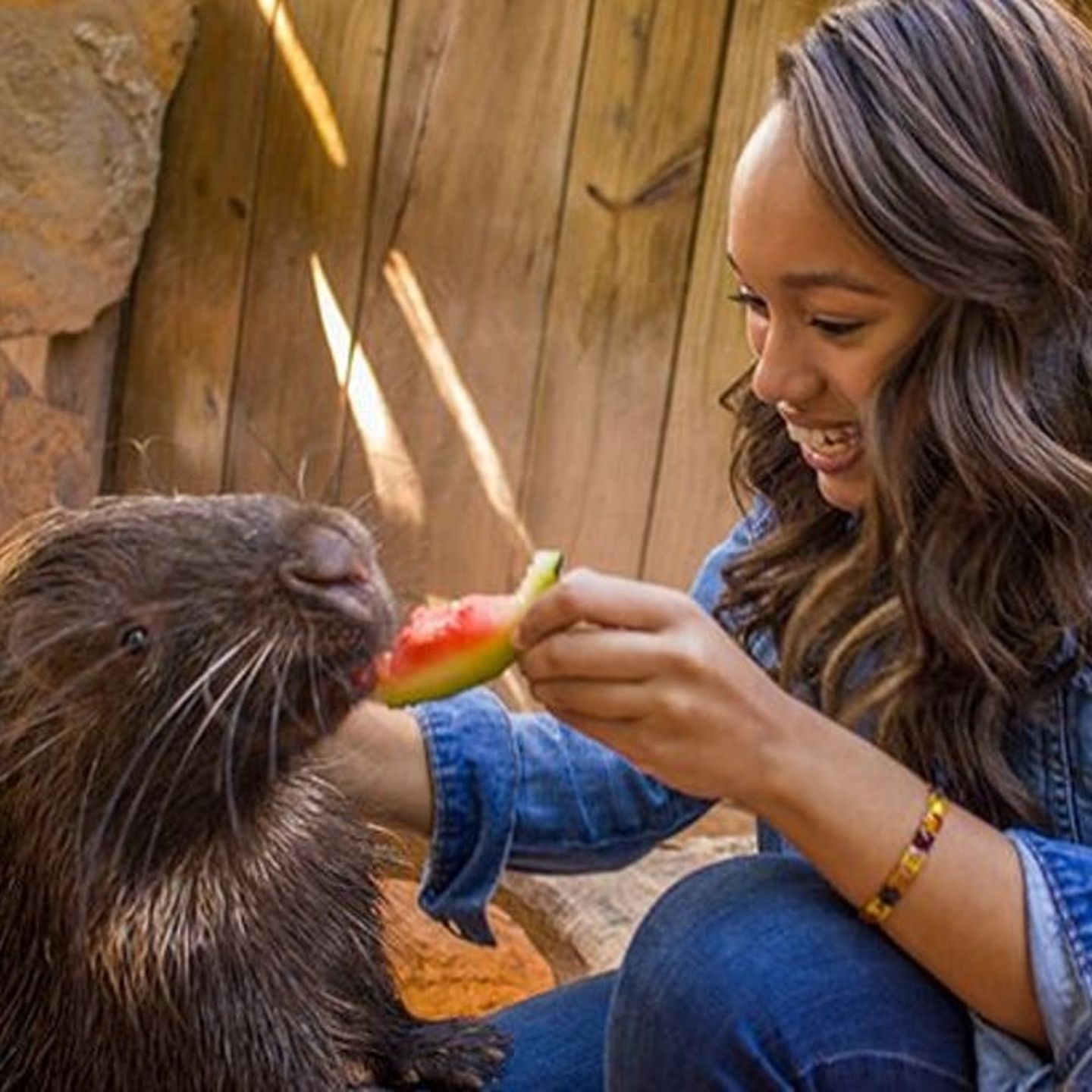 Girl feeding porcupine