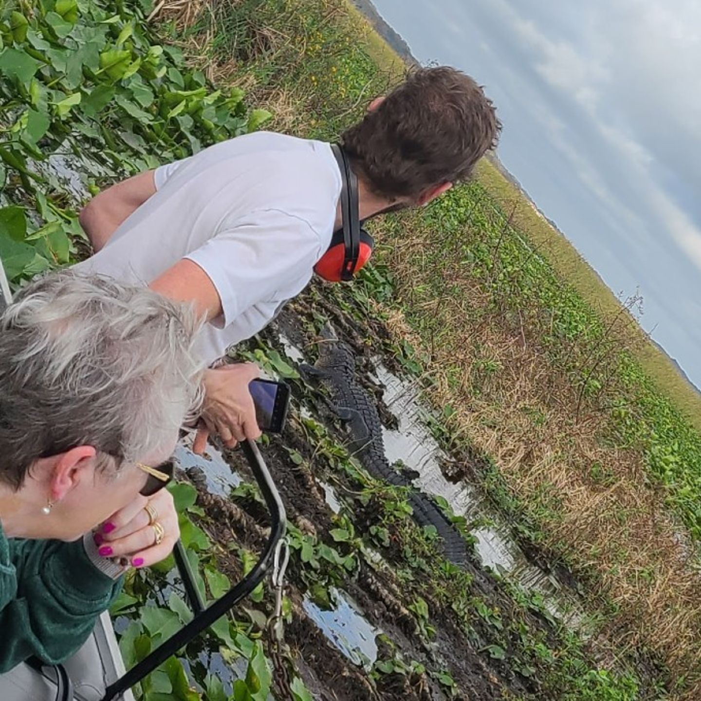 People viewing swamp