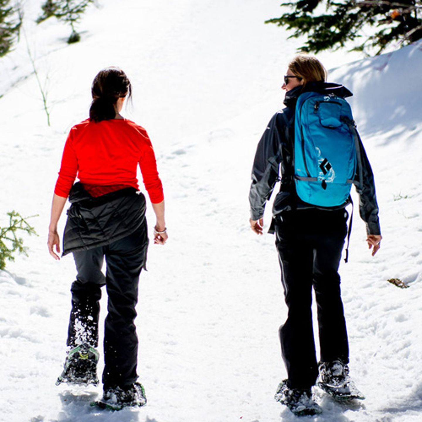 Snowshoeing Tour in Park City