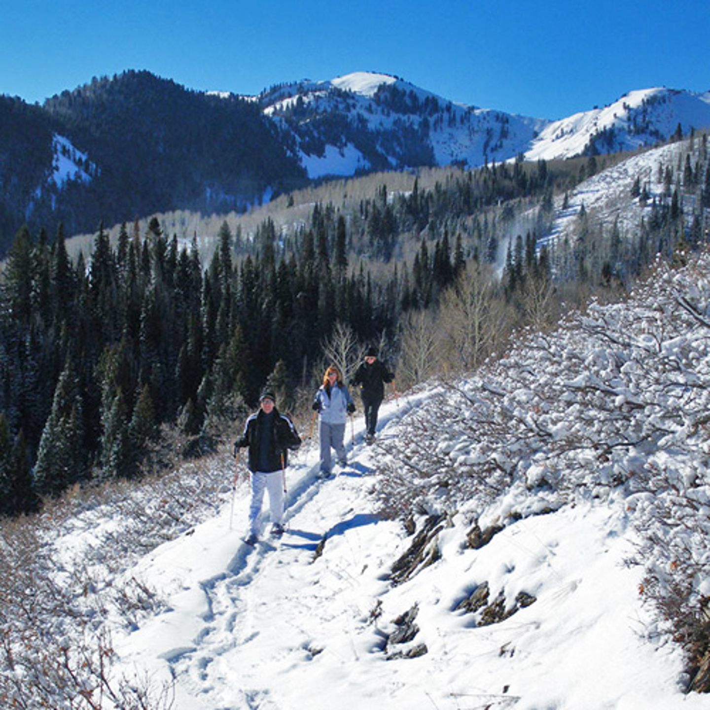 Snowshoeing in the Uintas