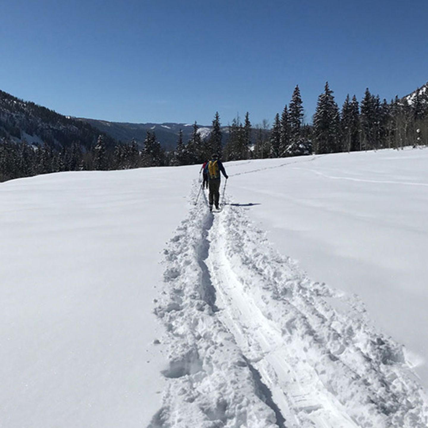 XC Skiing Tour in Salt Lake City