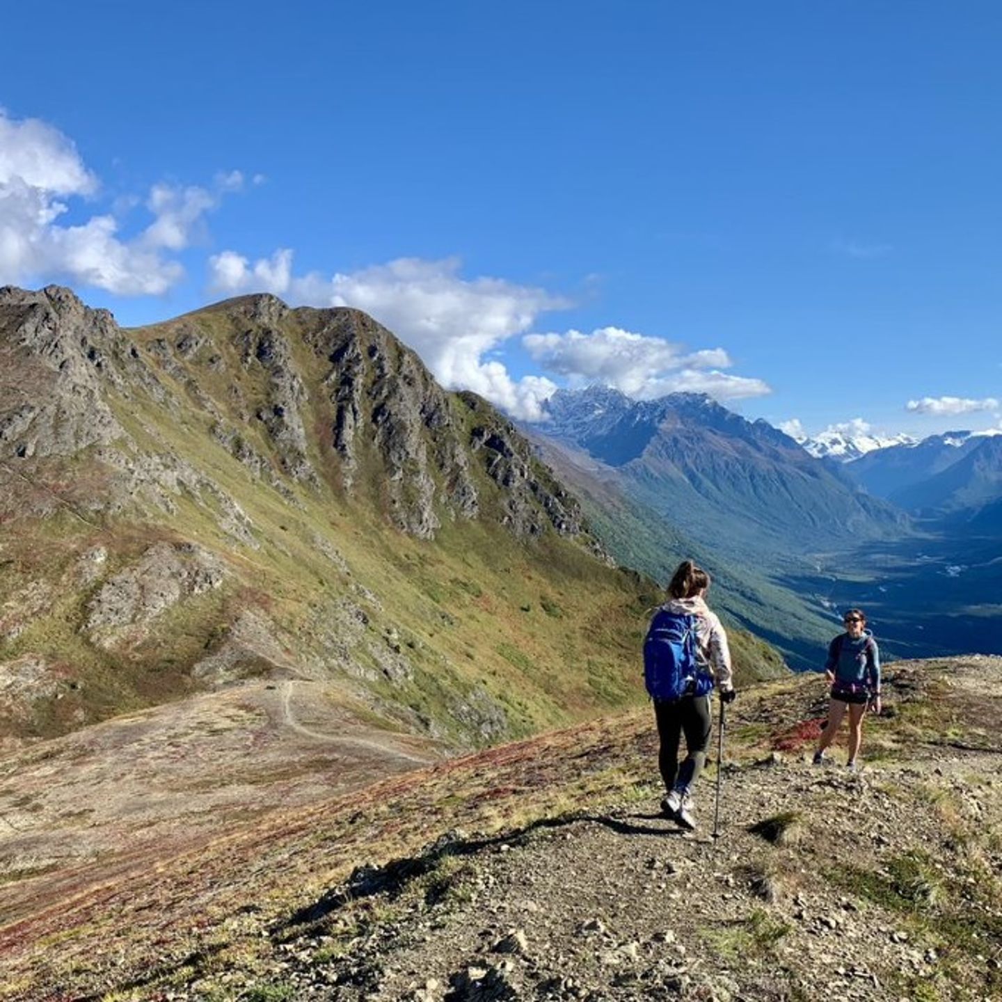 Group walking on trail