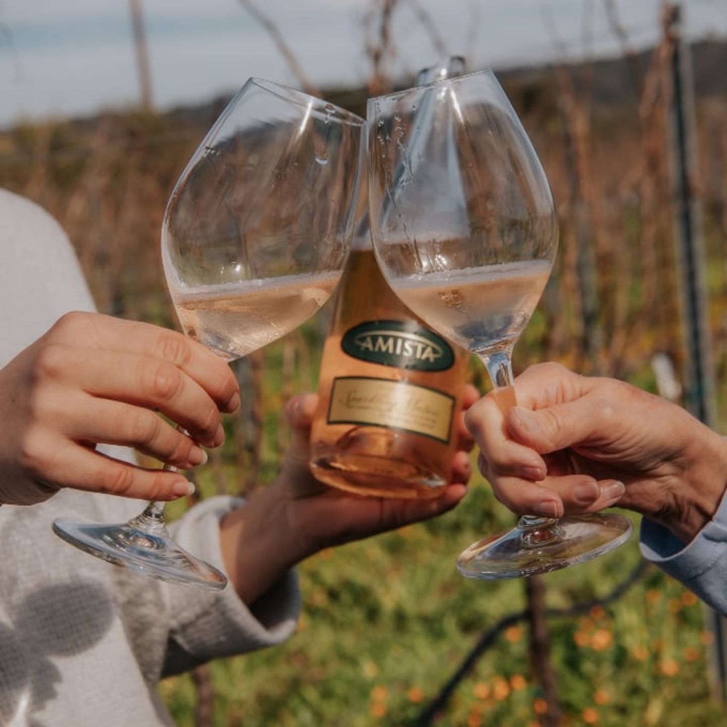 Two wine glass toasts