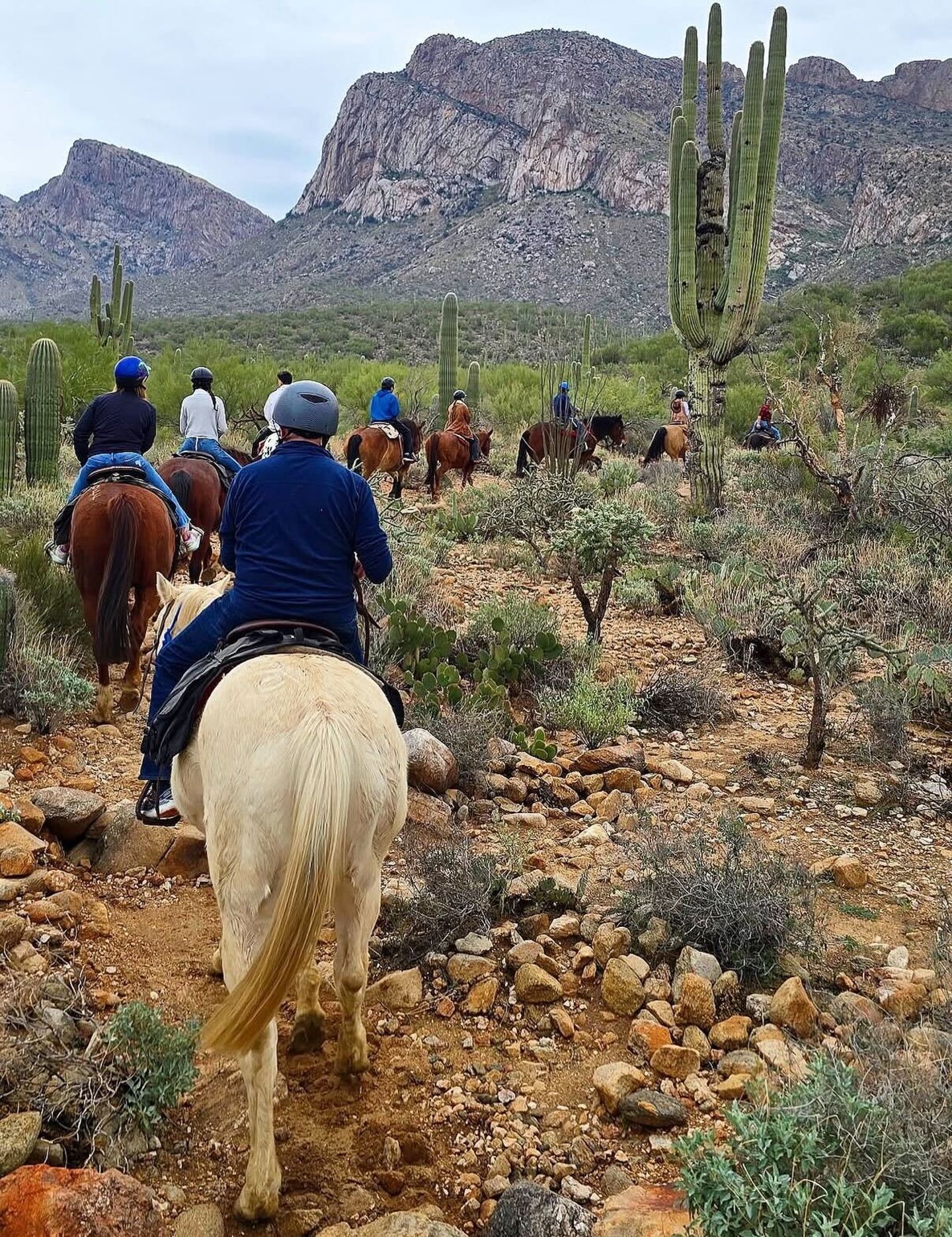 Group Riding Tour