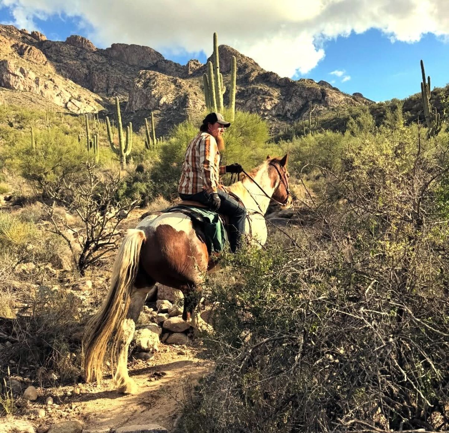 Oro Valley Horseback Riding