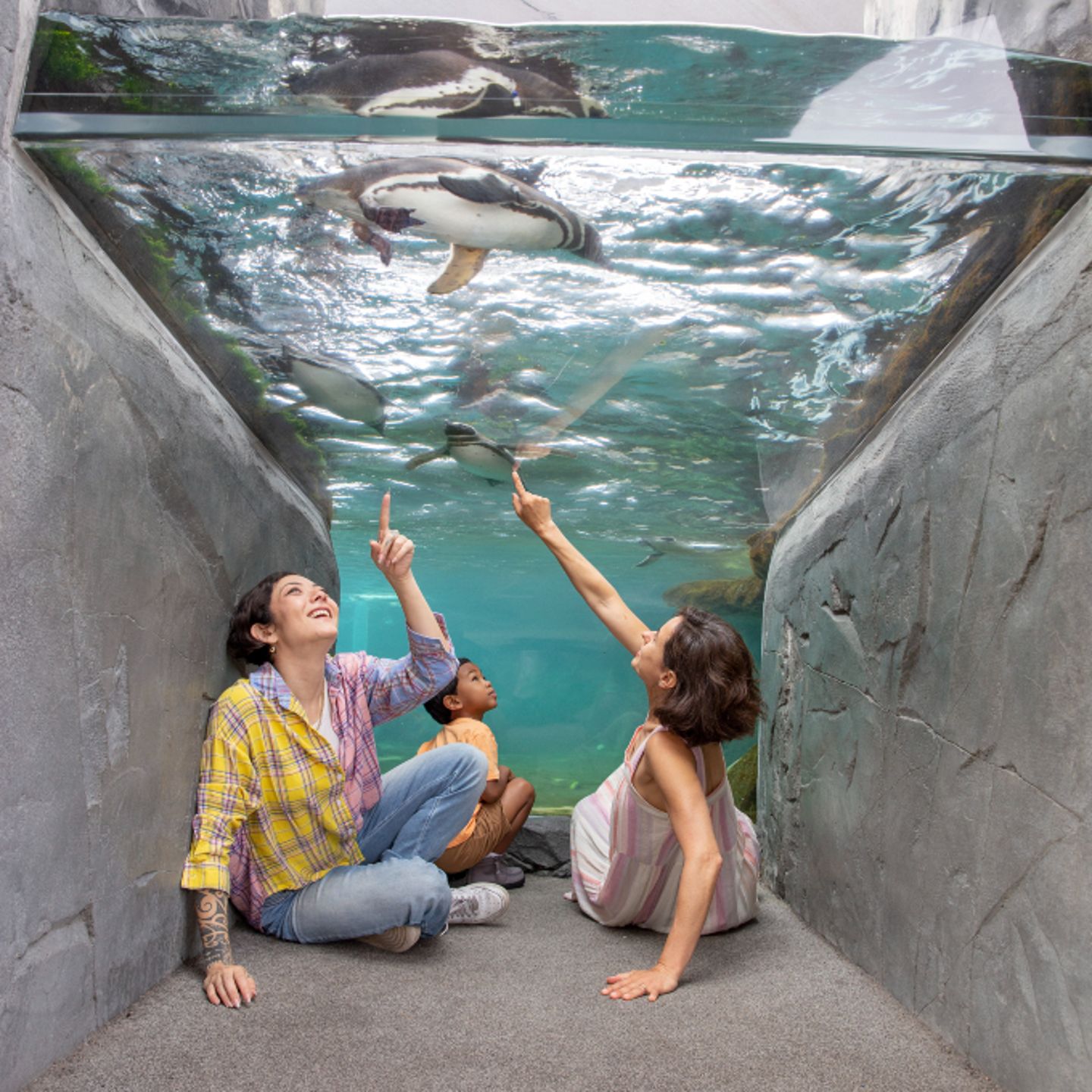 Kids looking up at water