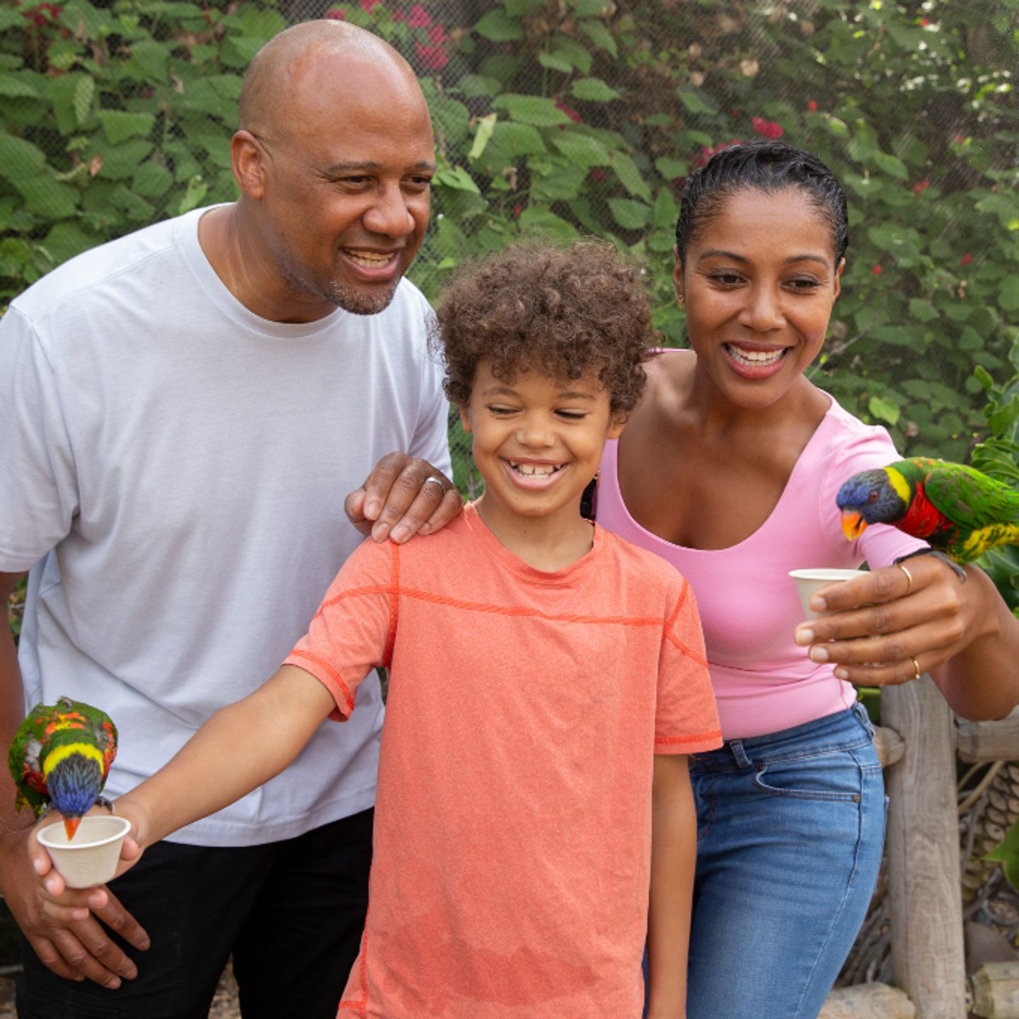Family with birds