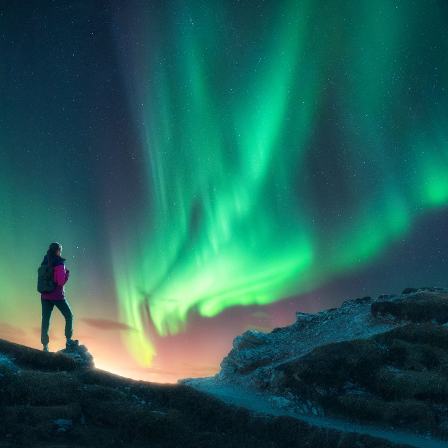 Arctic Lights