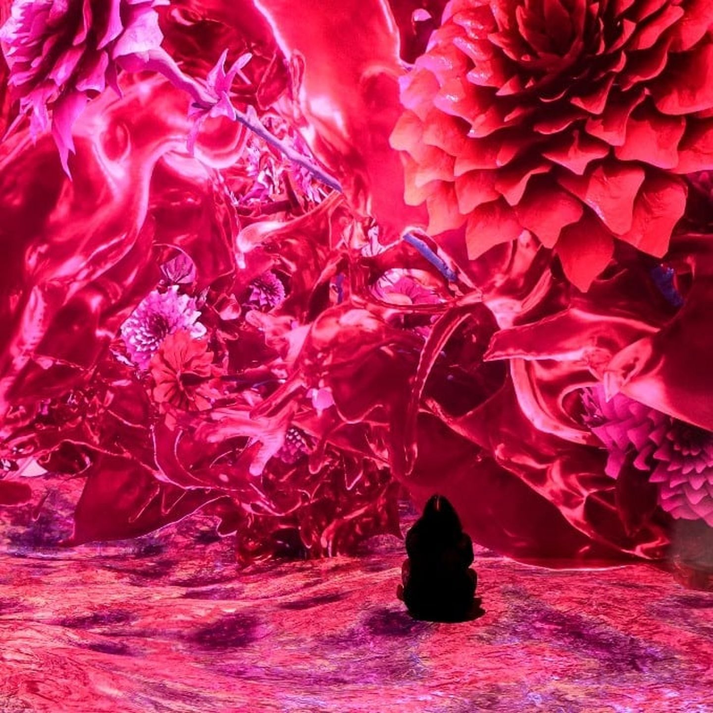 Pink Room