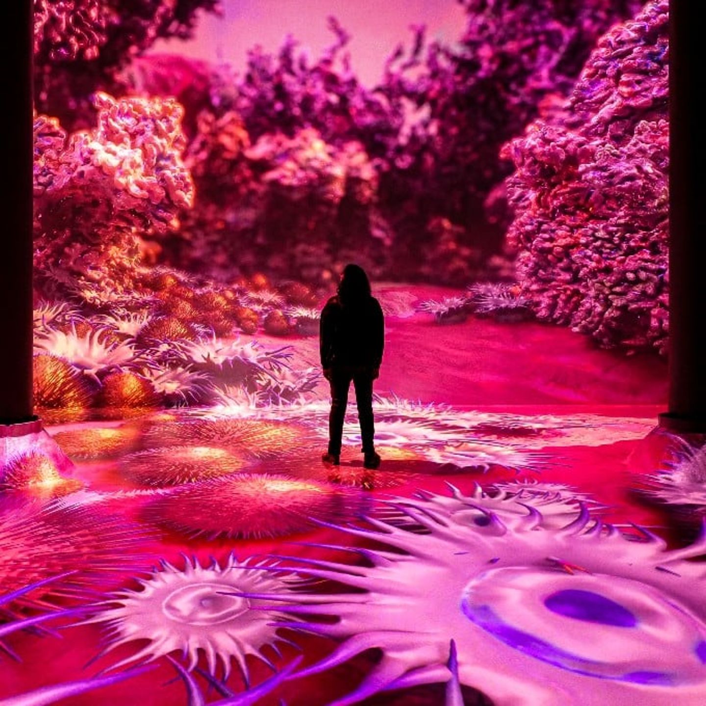 Artechouse 