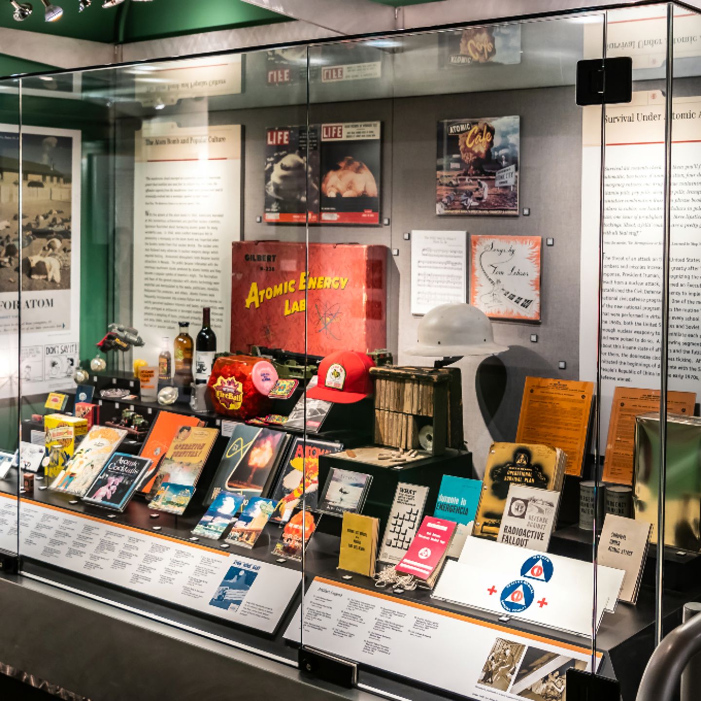 Artifacts in case