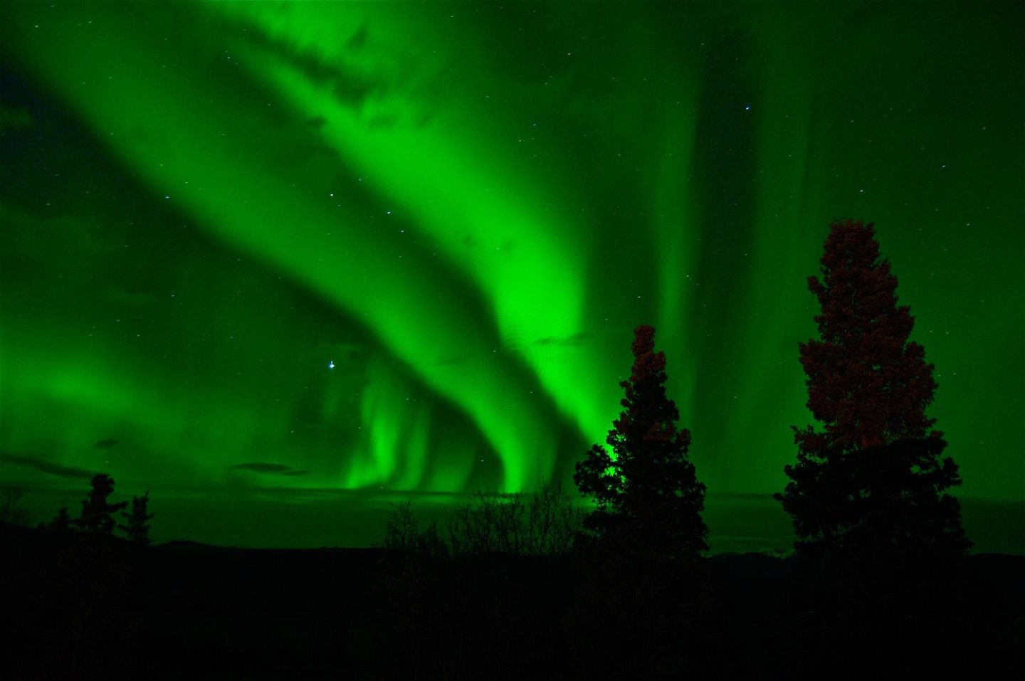 Northern Lights Experience