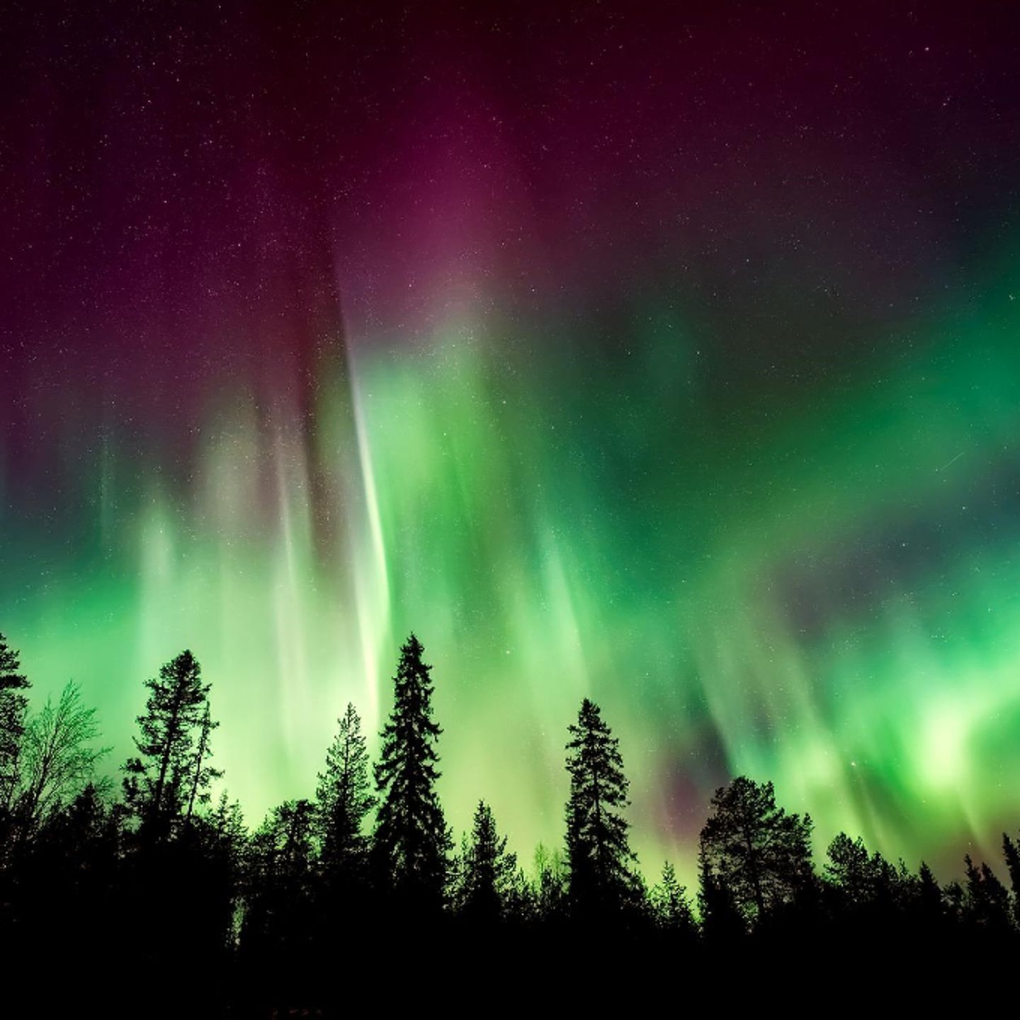 Aurora lights