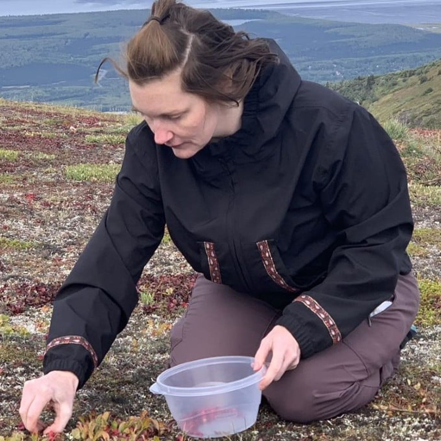 Backcountry Foraging Adventure