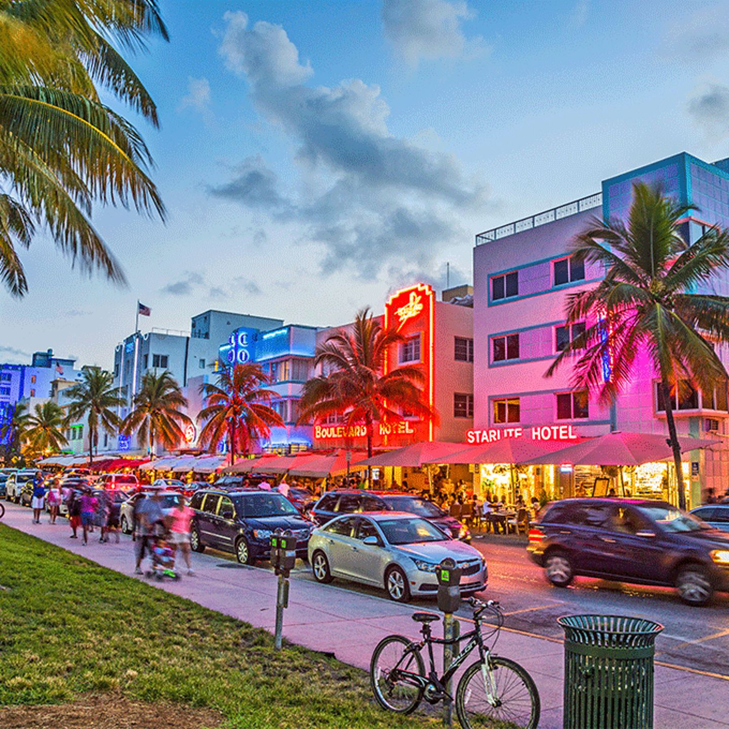 Miami buildings and palm trees lit up