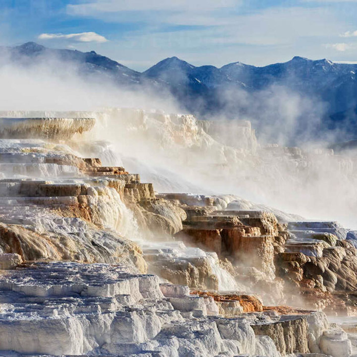 Private Tour of Yellowstone