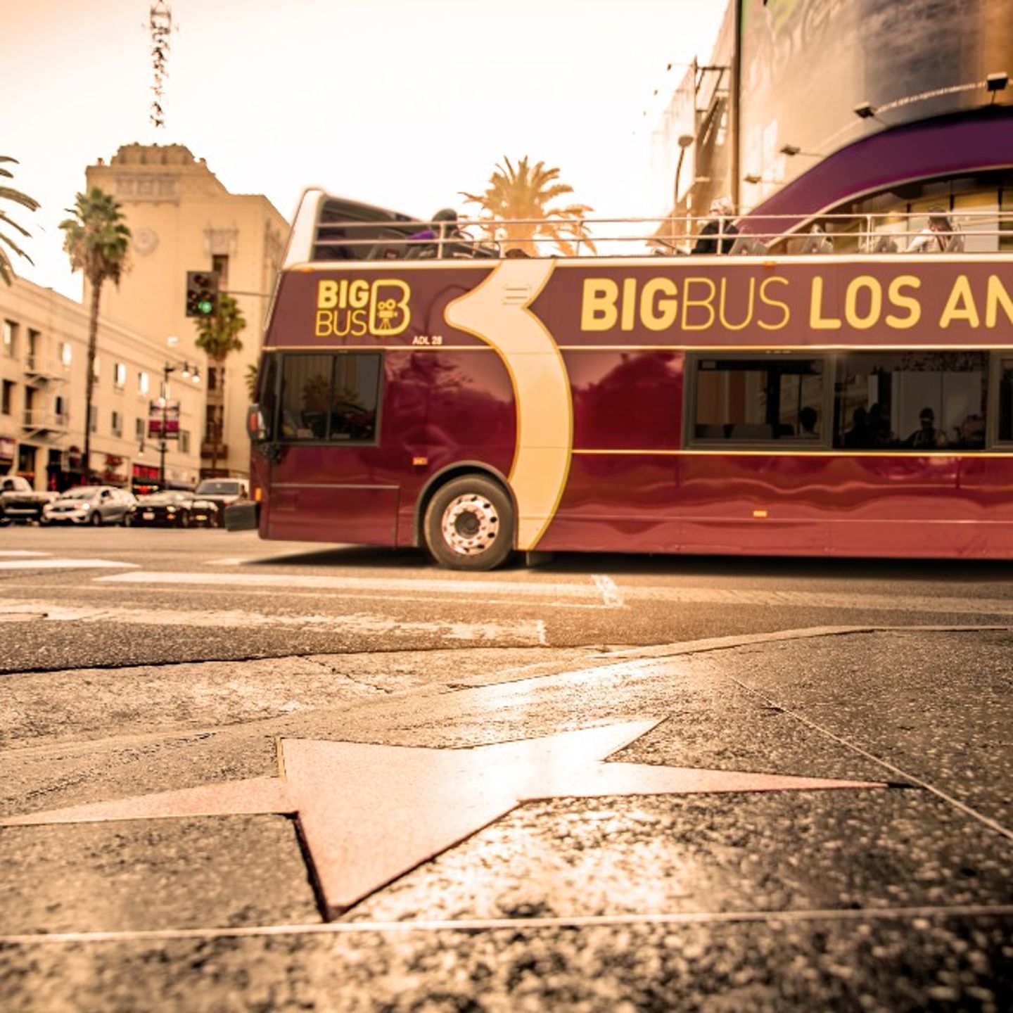 Bus in Hollywood