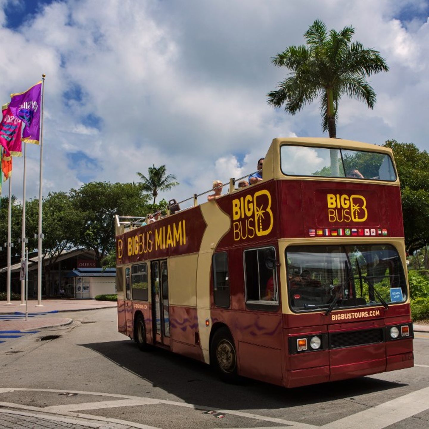 Bus at stop