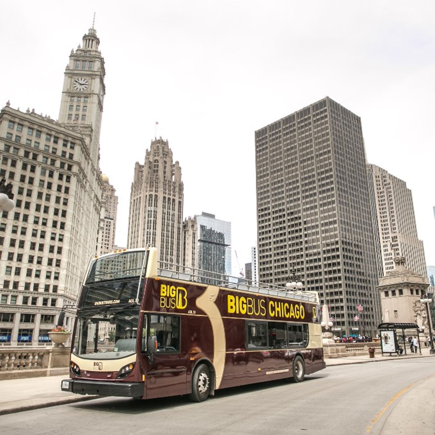 Bus in downtown