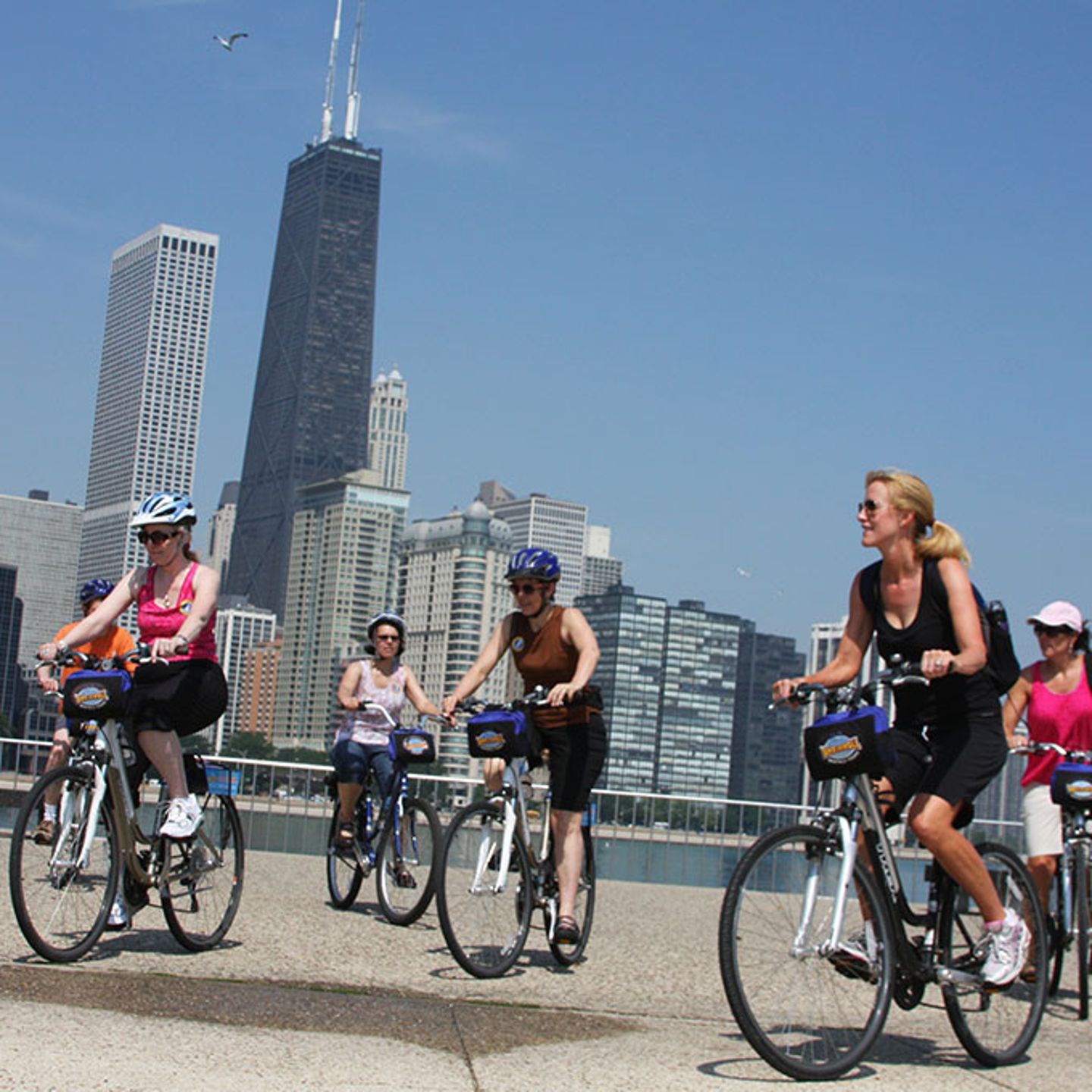 Bike Rentals