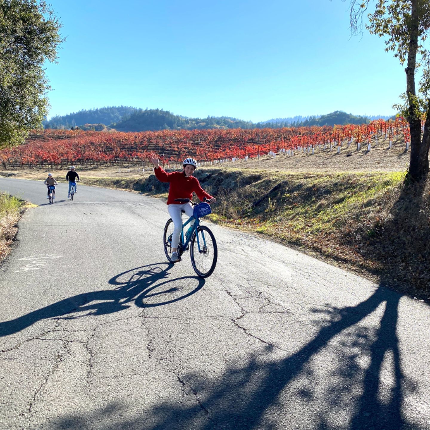 People riding bikes on street