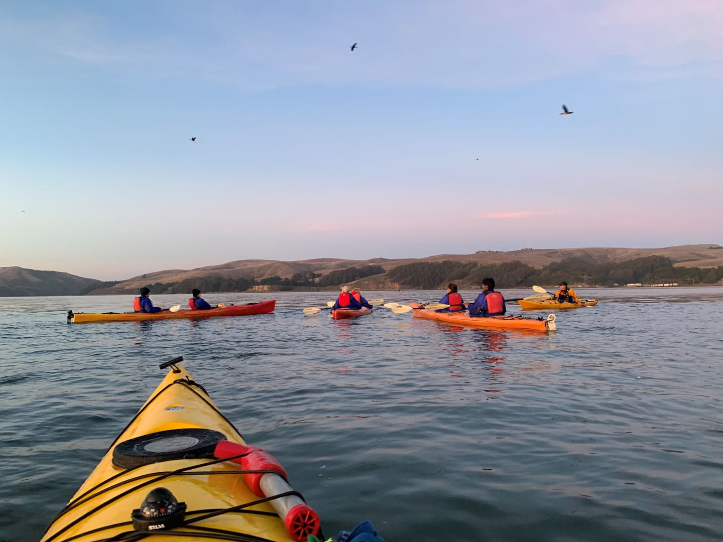 Group of kayaks