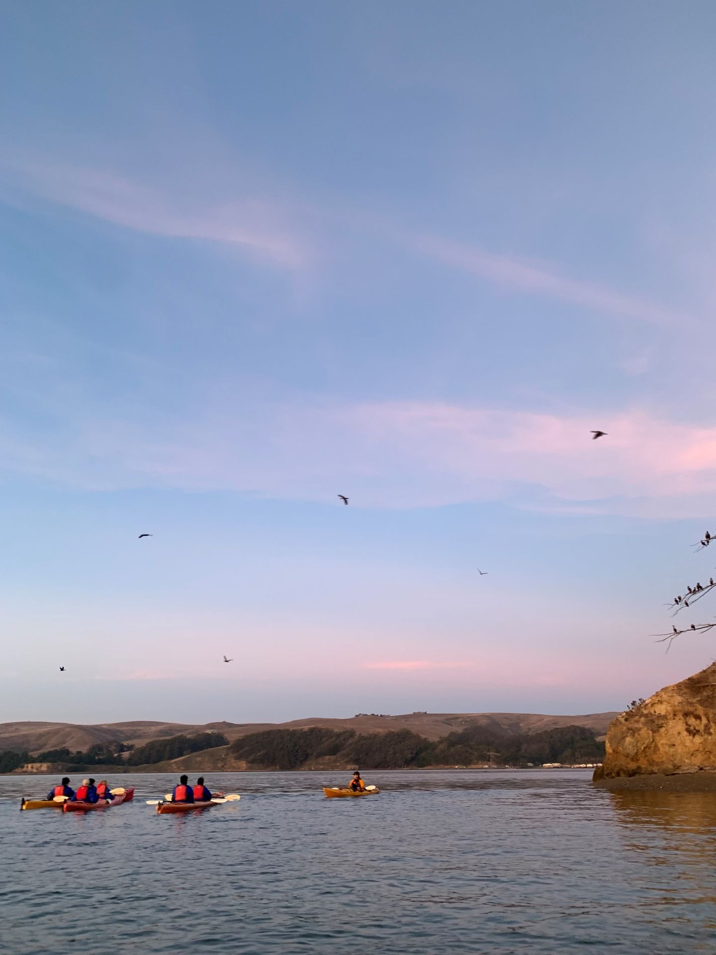Kayaking with birds