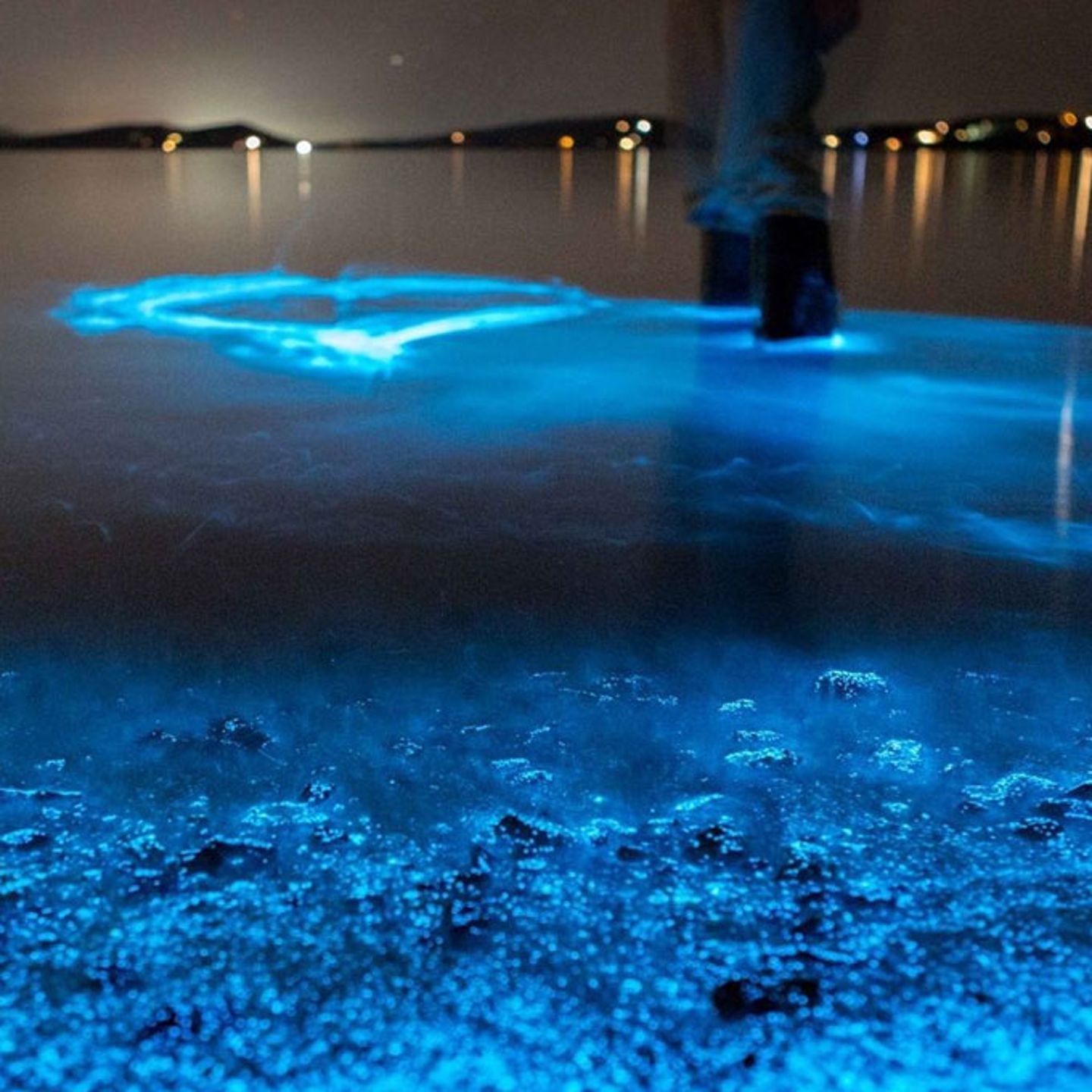 Night Paddle