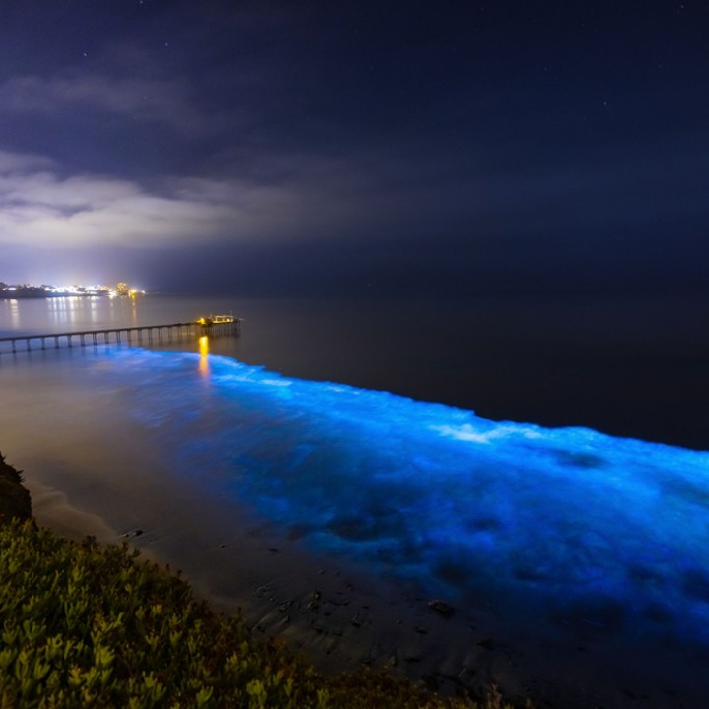 Bioluminescent beach