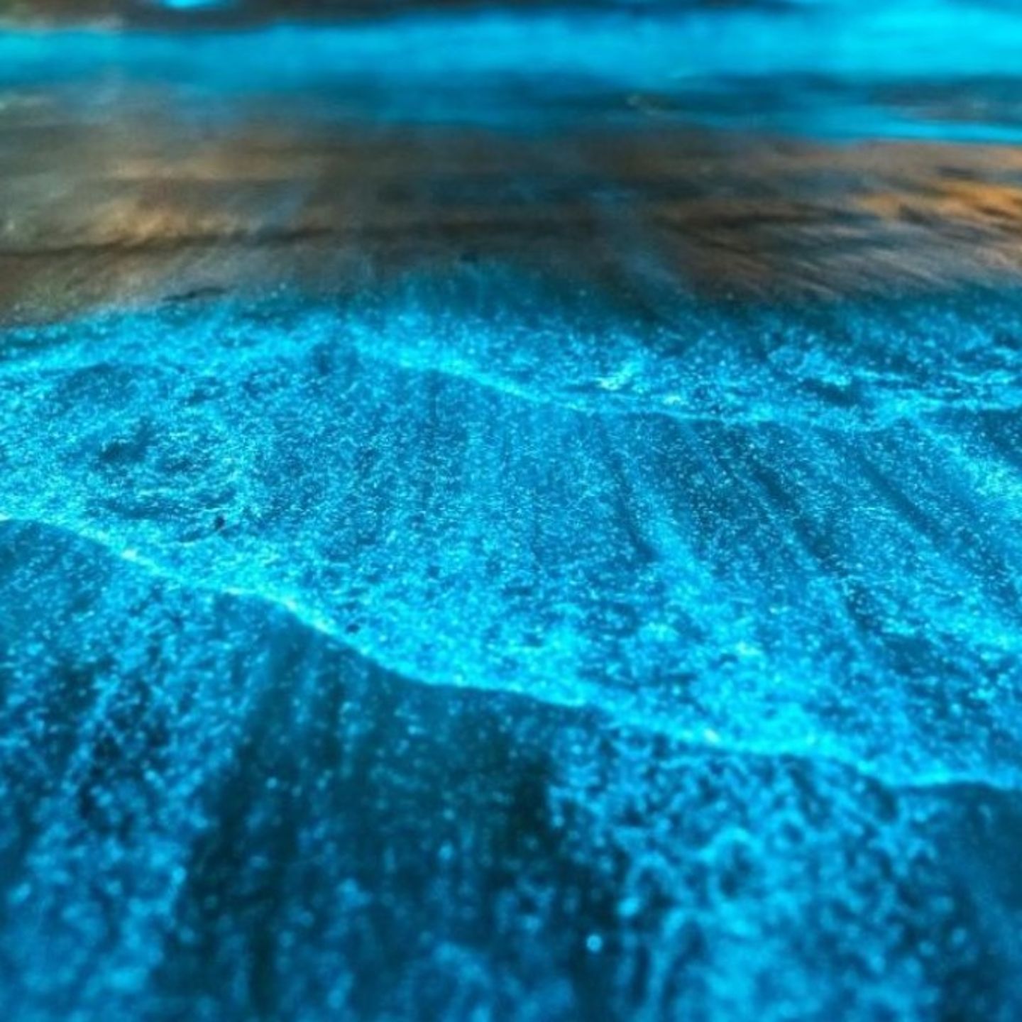 Water with bioluminescent 