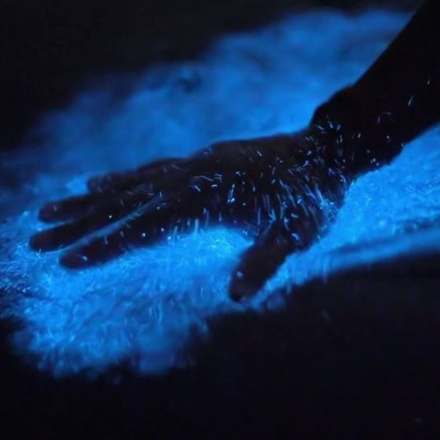 Hand touching blue water