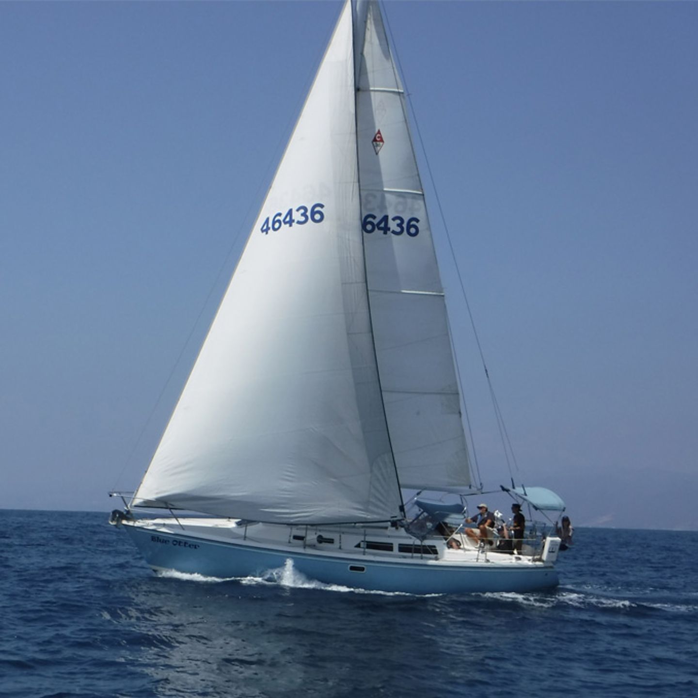 Marina Del Rey Sailing Charter