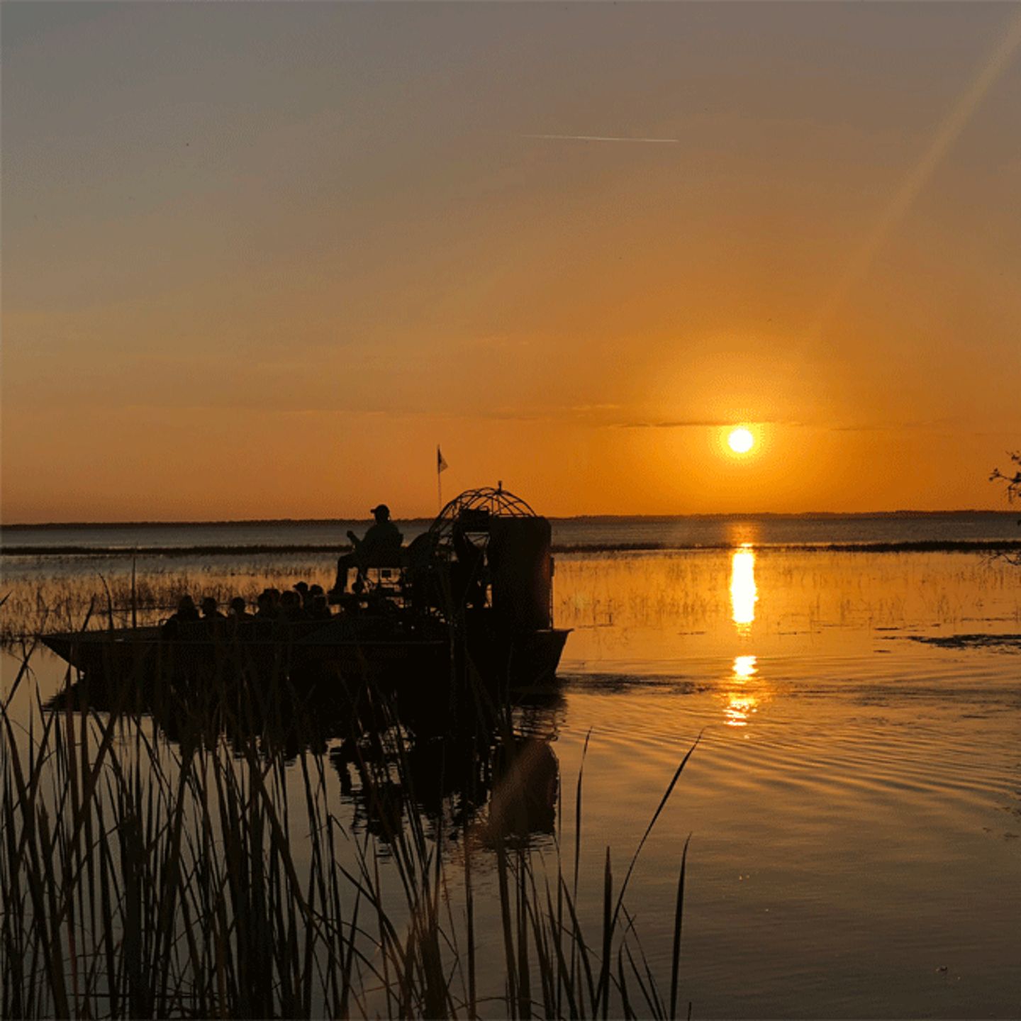 Orlando Sunset Airboat Tour