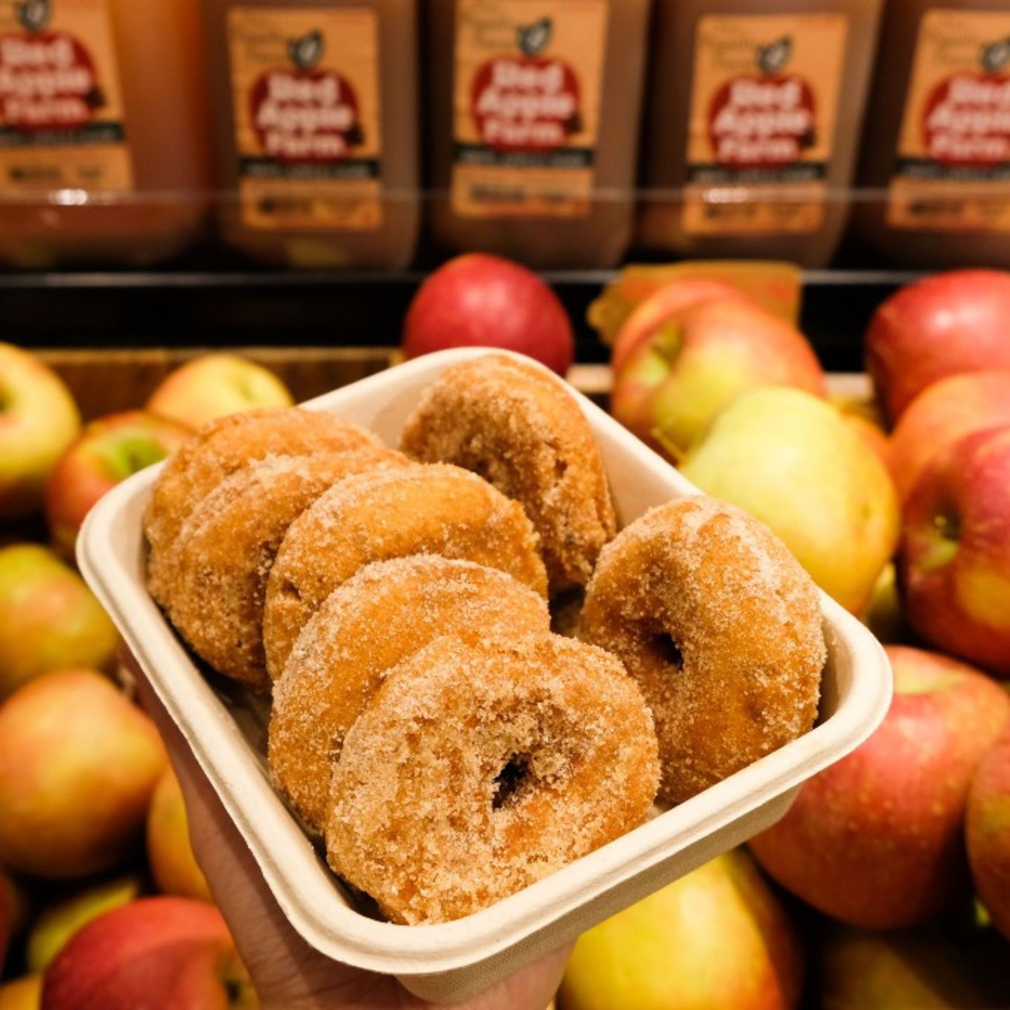 Historic Boston Donut Tour