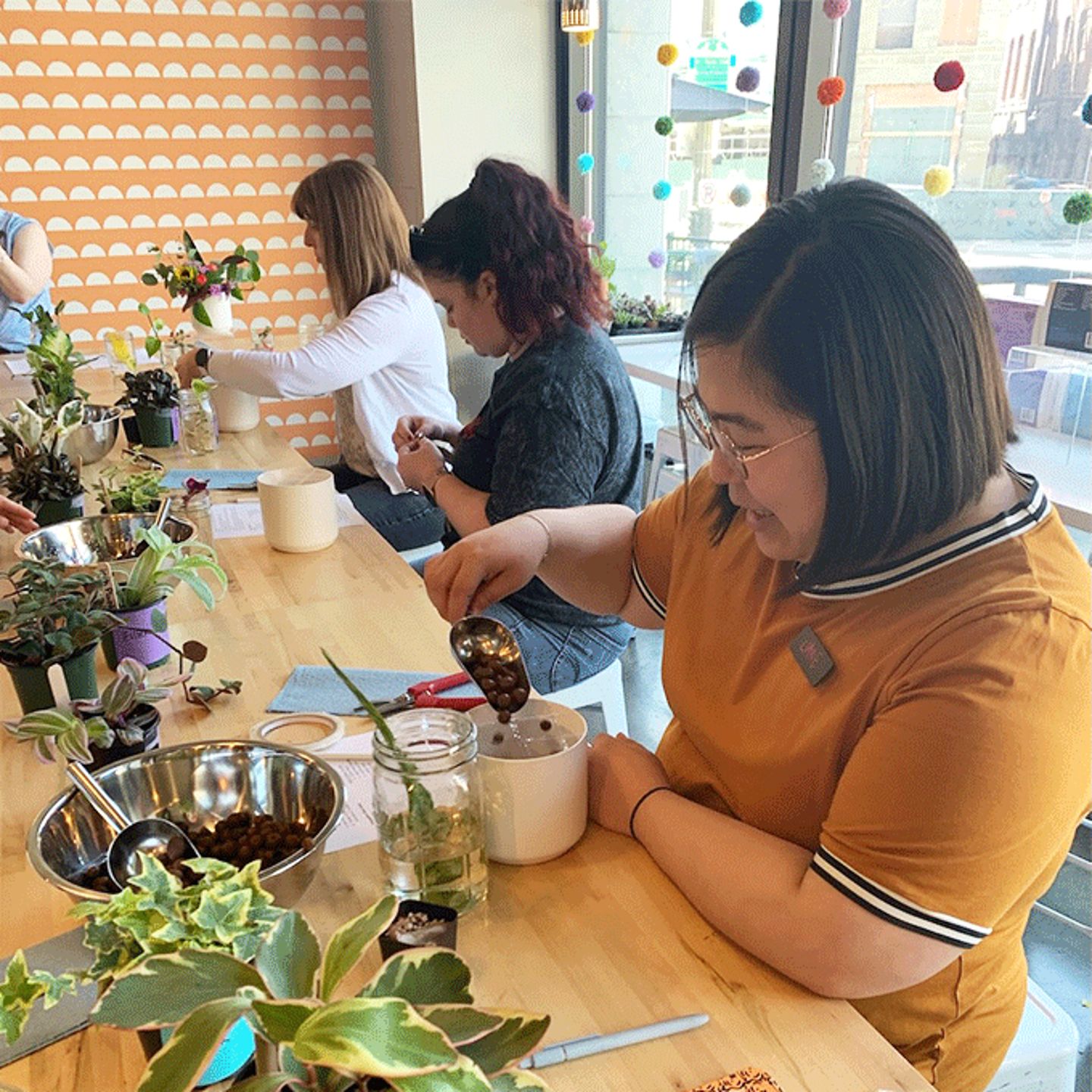 botanical class