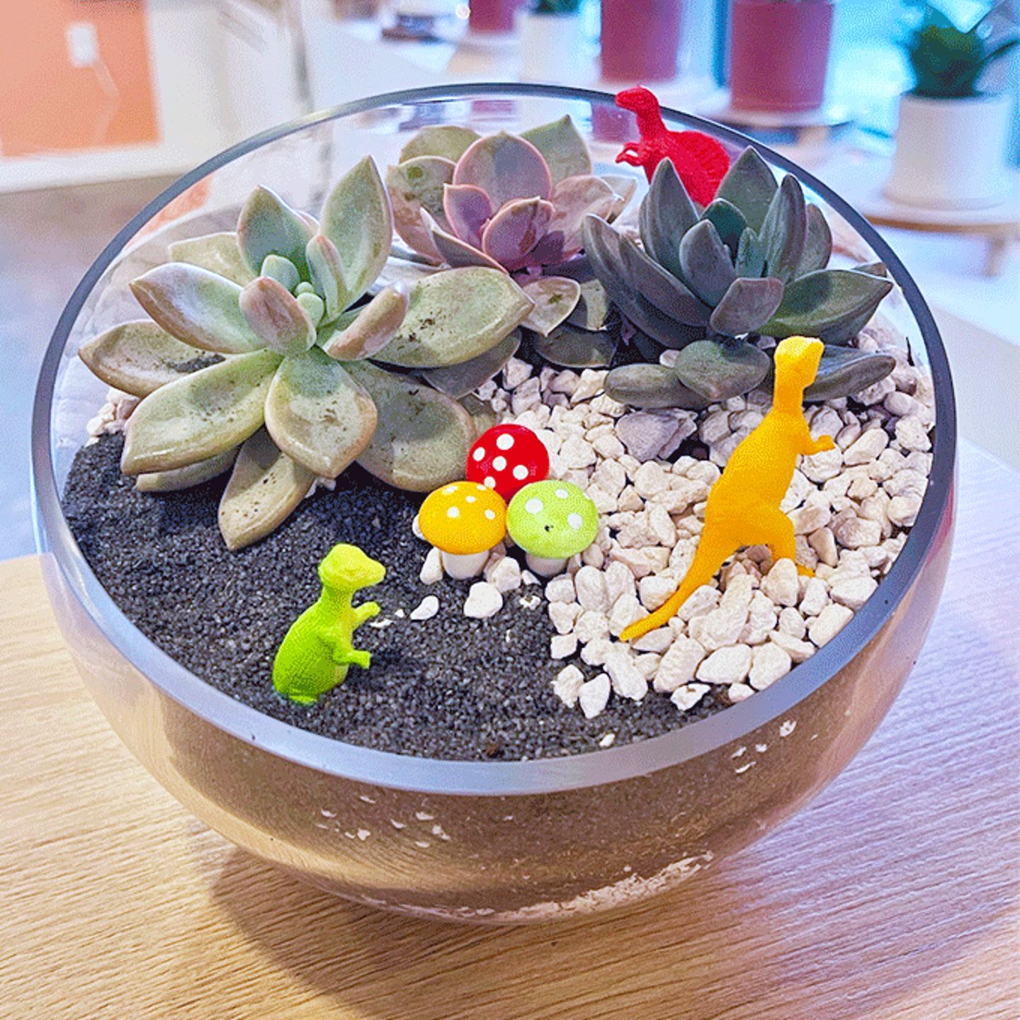 Terrarrium Class