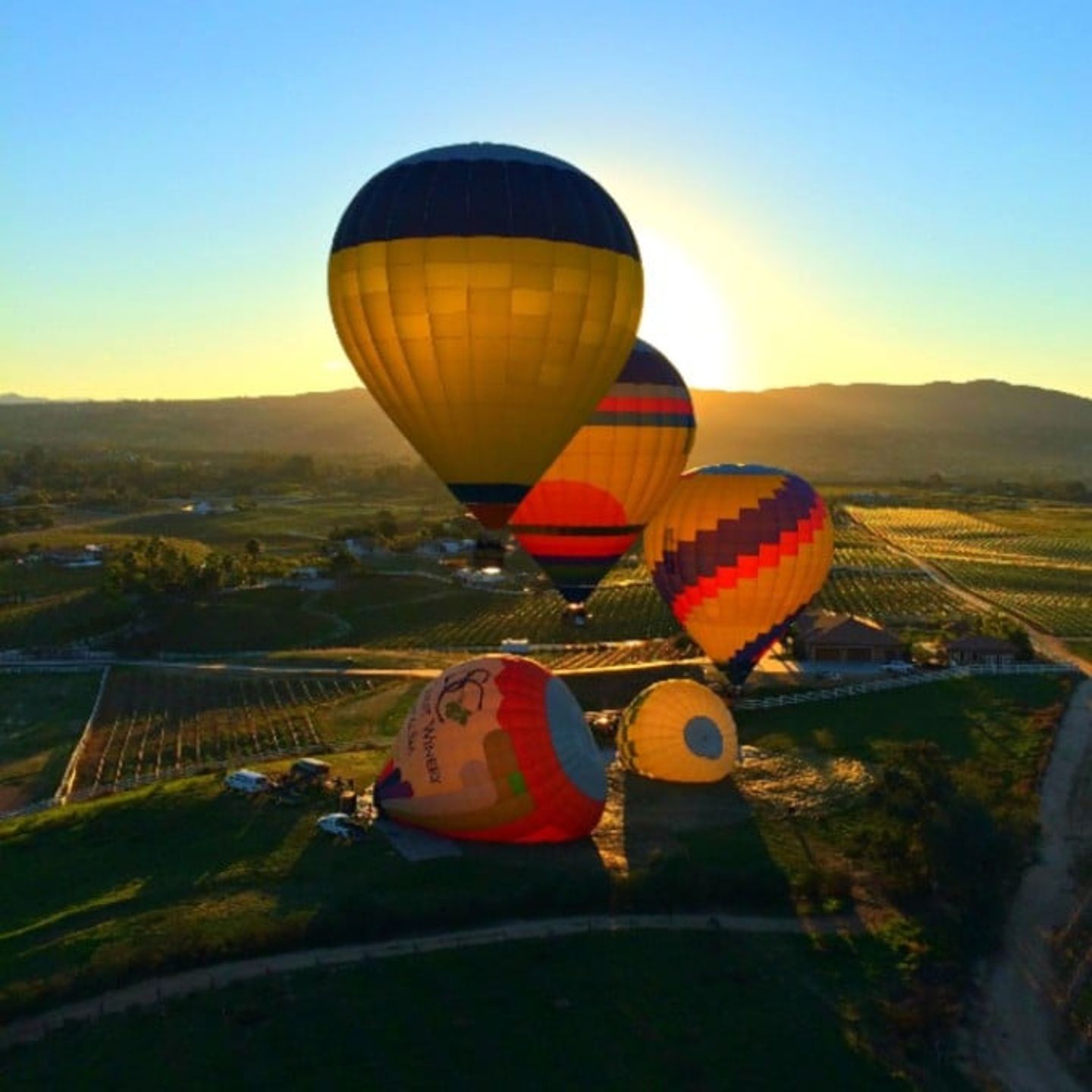 Temecula Sunrise Balloon Ride 1