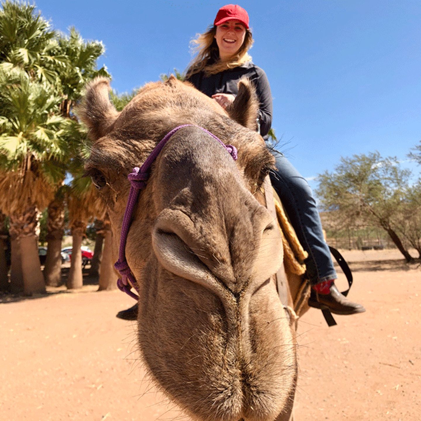 Woman on Camel