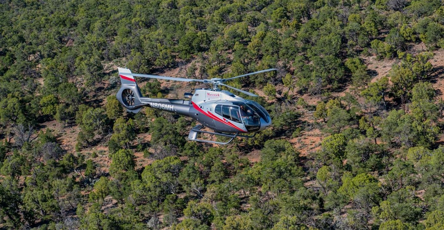 Helicopter over foliage